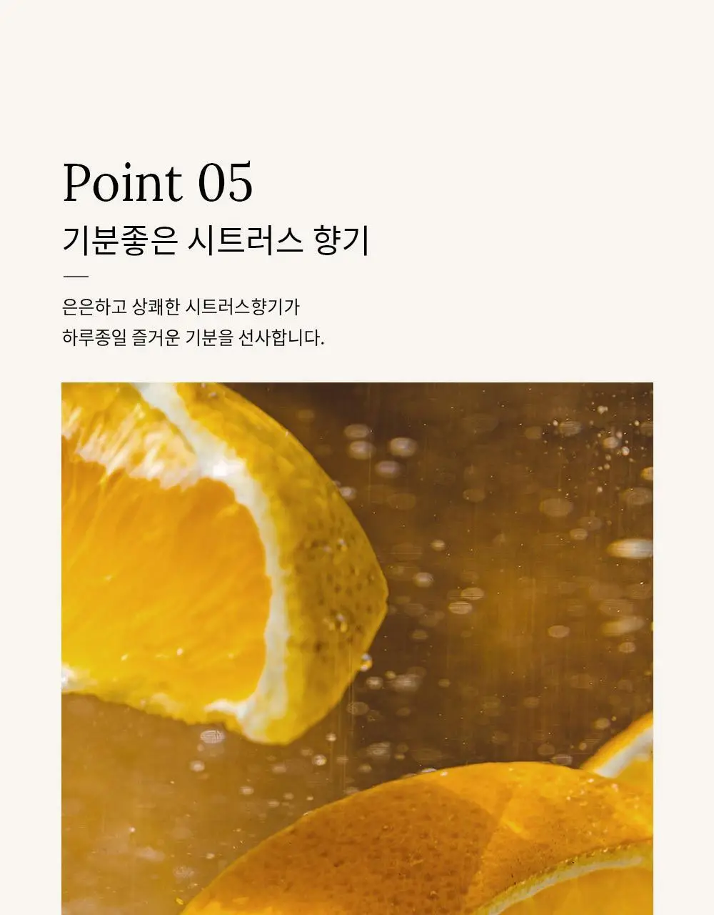 [변우석 Pick]다슈 프로 에어리 폴리쉬 오일 100ml 기획세트(+10ml 증정) 상세페이지 24